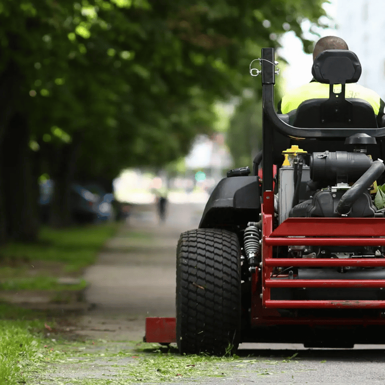 Reinders-PreviewImage@3x-2