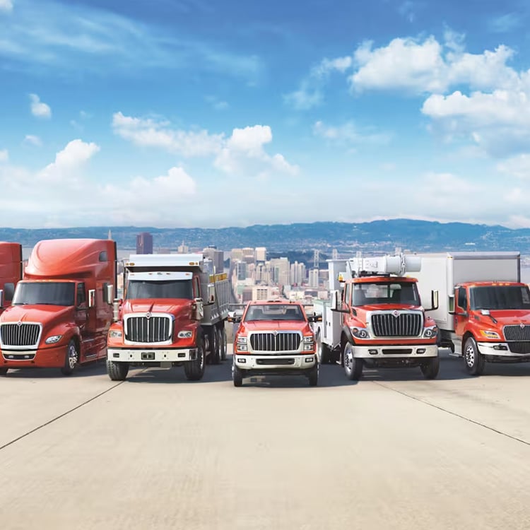 international-case-studies-image