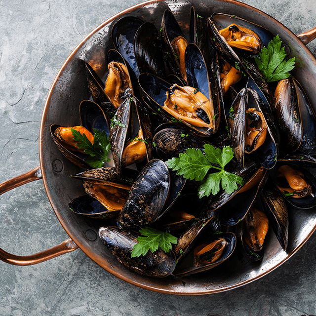 santa-monica-case-studies-image-1