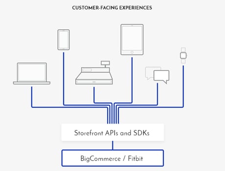 fitbit_experiences